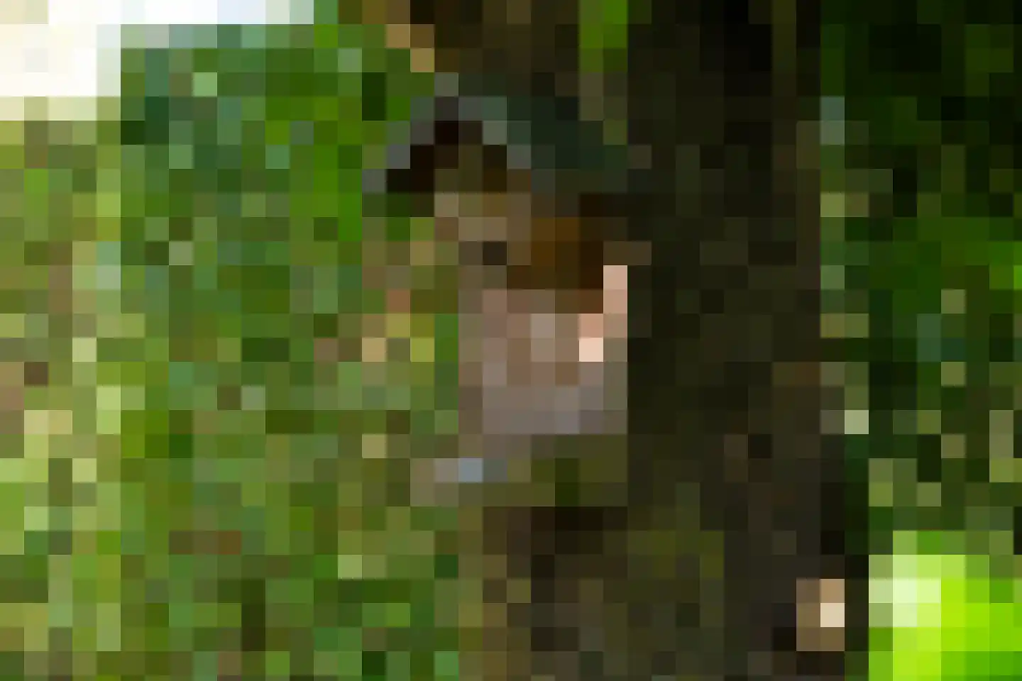 Den Emau 17 Groenlo thumbnail 51