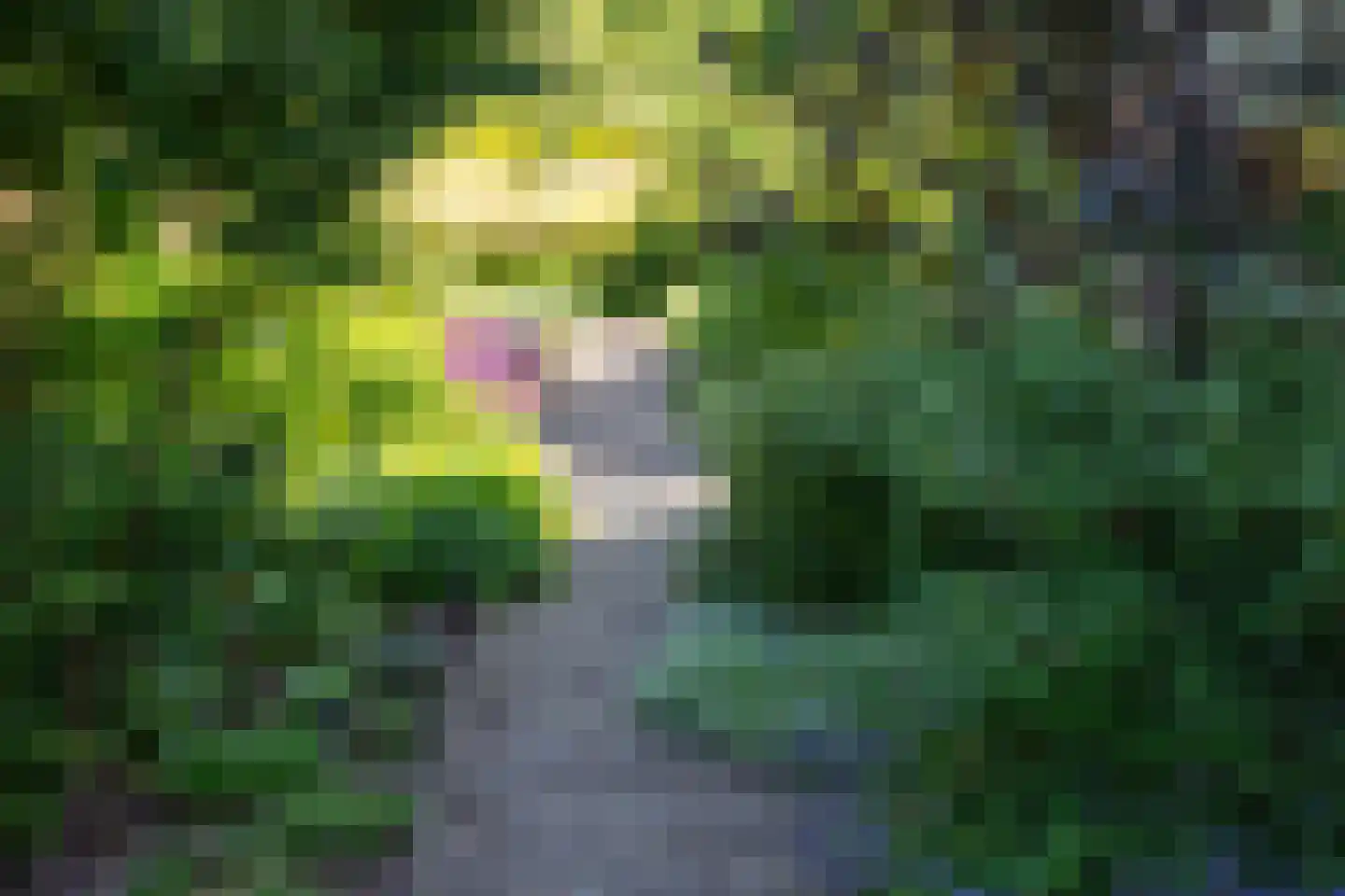 Den Emau 17 Groenlo thumbnail 52