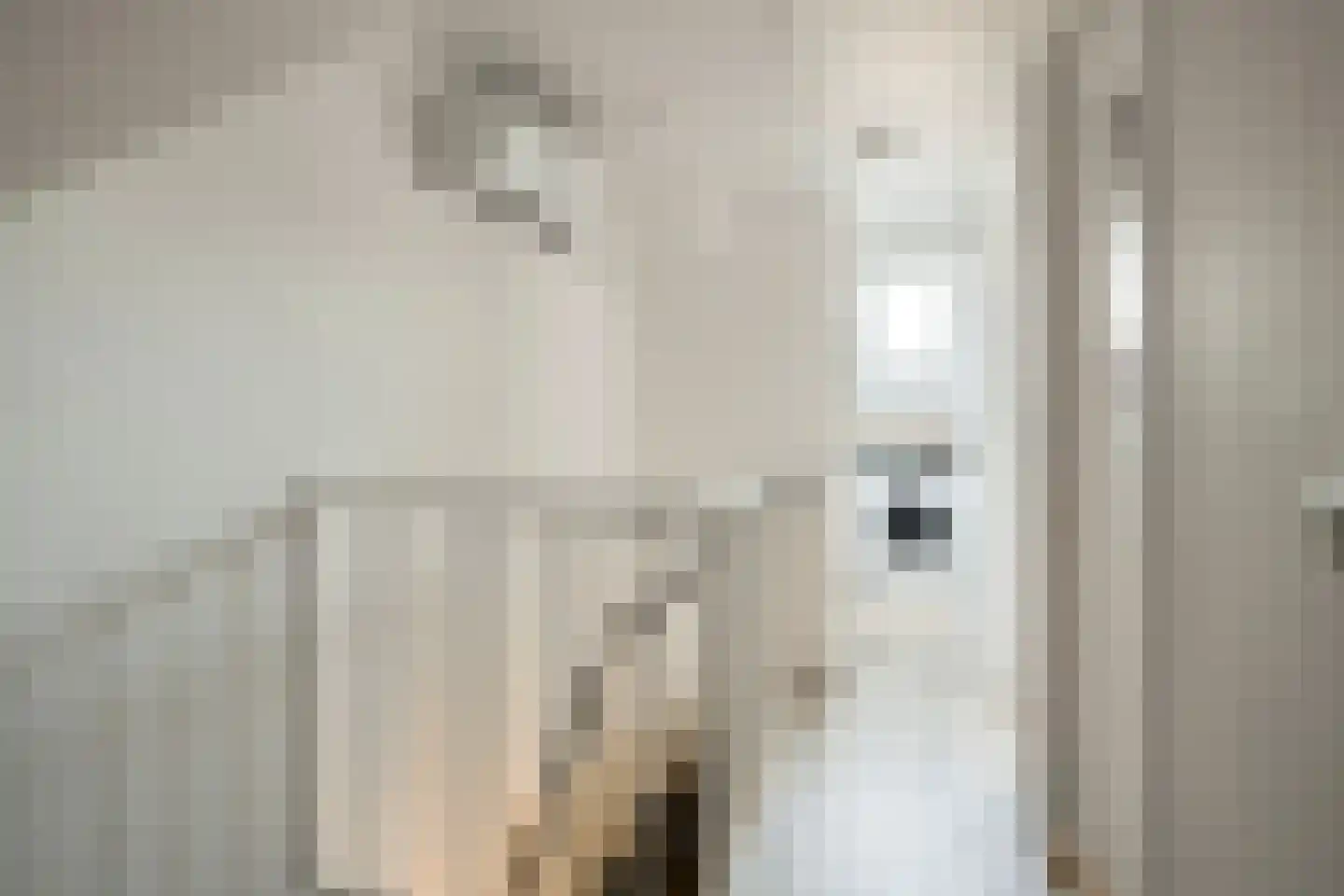 Den Emau 7 Groenlo thumbnail 30