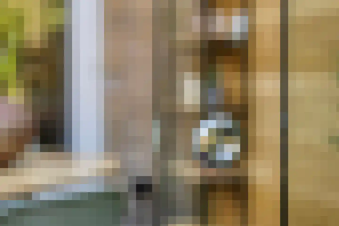 Den Emau 7 Groenlo thumbnail 36