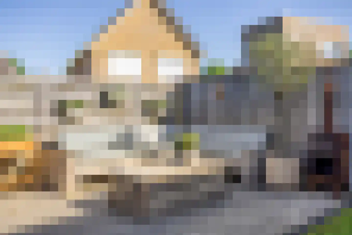 Den Emau 7 Groenlo thumbnail 38