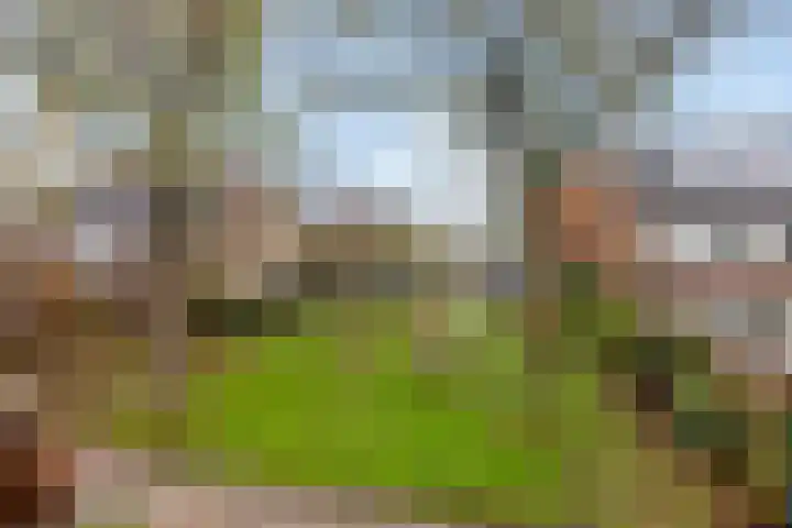Den Engh 22 Linschoten thumbnail 12