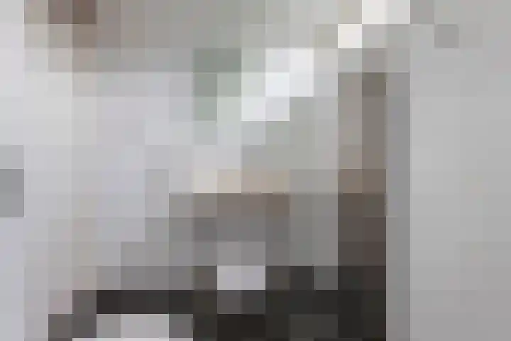Den Engh 22 Linschoten thumbnail 20