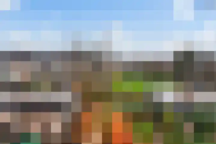 Den Engh 22 Linschoten thumbnail 24