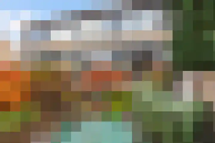 Den Engh 22 Linschoten thumbnail 26
