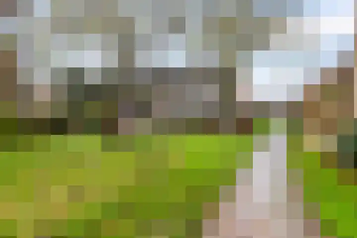 Den Engh 22 Linschoten thumbnail 27