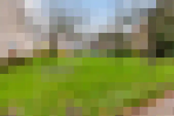 Den Engh 22 Linschoten thumbnail 28