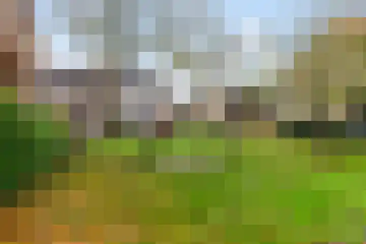 Den Engh 22 Linschoten thumbnail 29