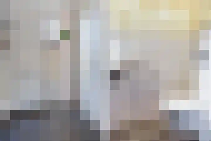 Den Engh 22 Linschoten thumbnail 4
