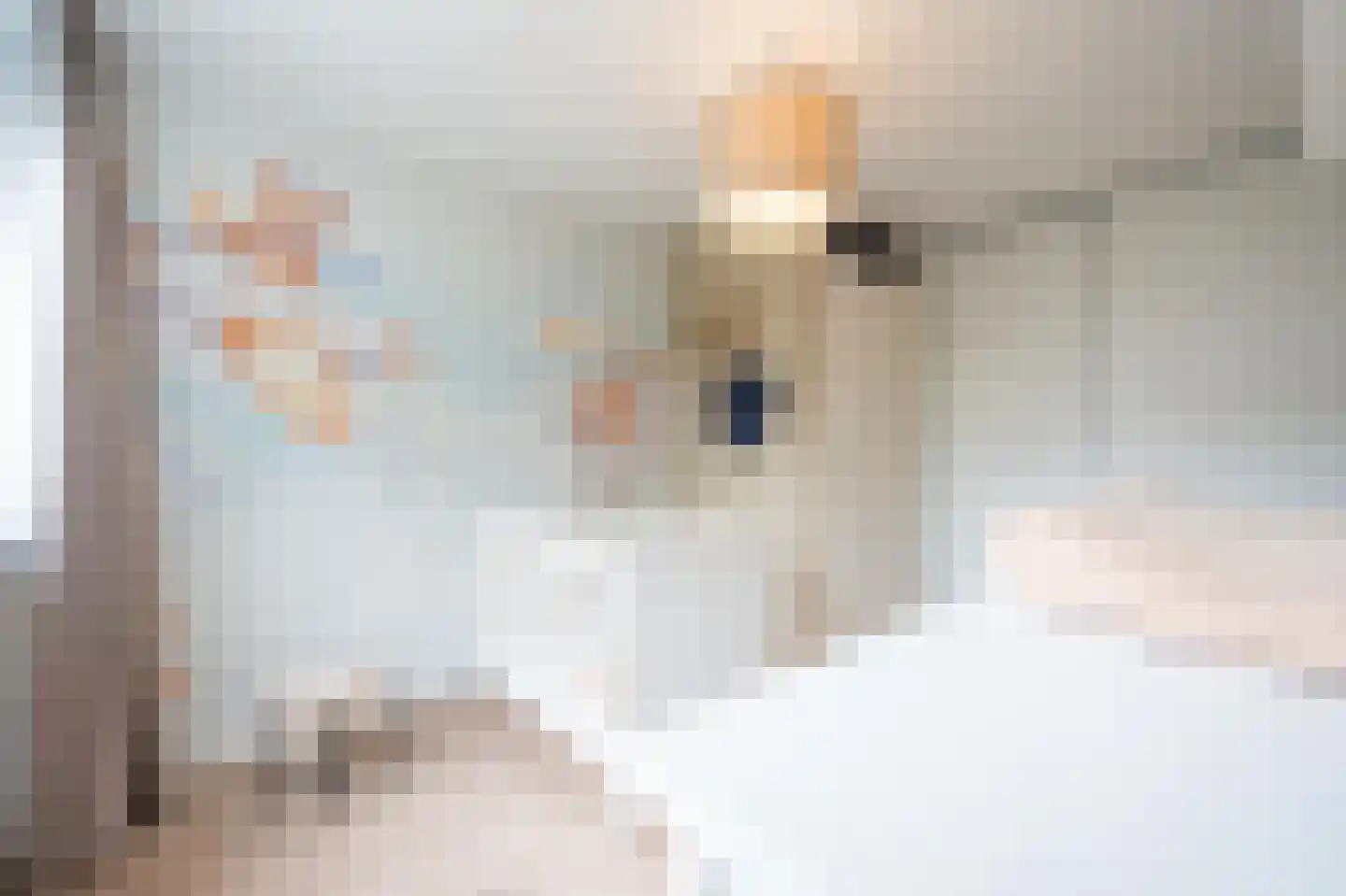 Den Engh 29 Linschoten thumbnail 34