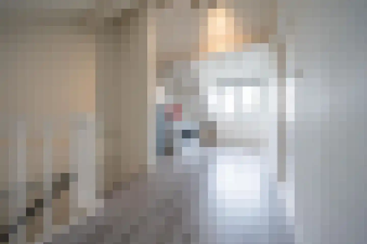 Den Engh 29 Linschoten thumbnail 37