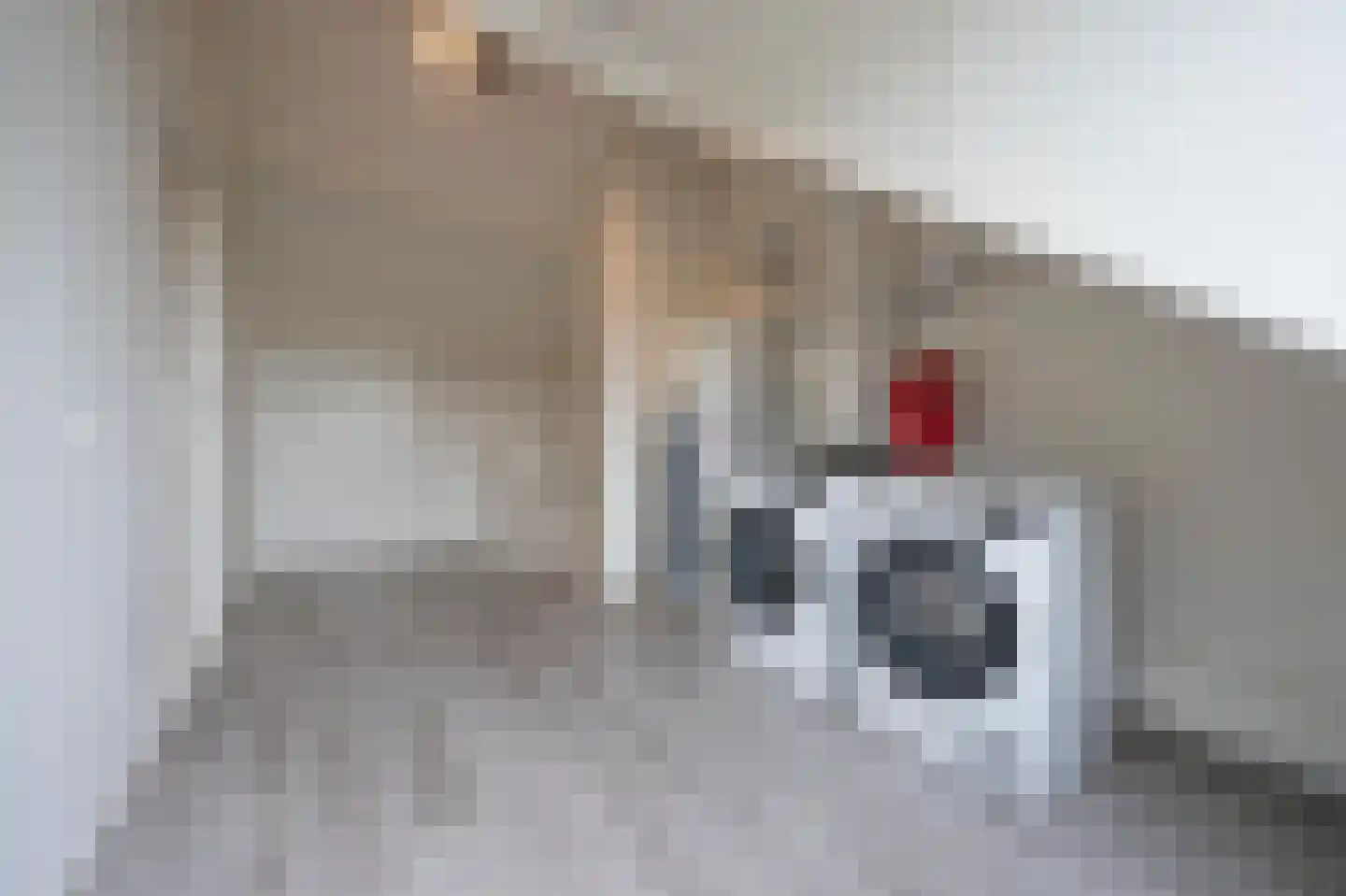 Den Engh 29 Linschoten thumbnail 38