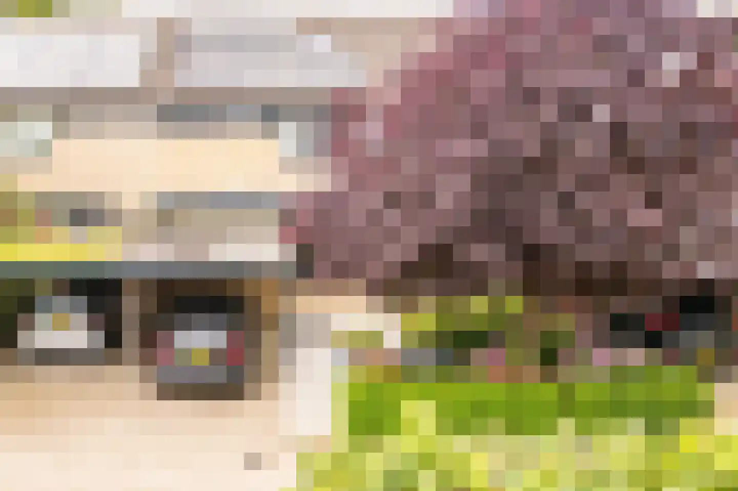 Den Engh 29 Linschoten thumbnail 43
