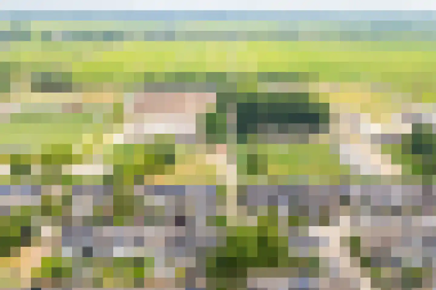 Den Engh 29 Linschoten thumbnail 44