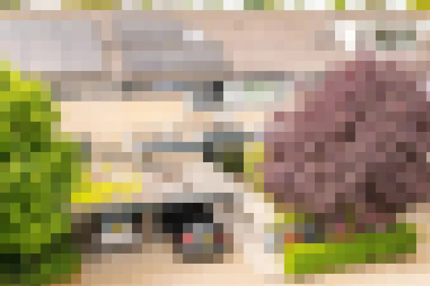 Den Engh 29 Linschoten thumbnail 5