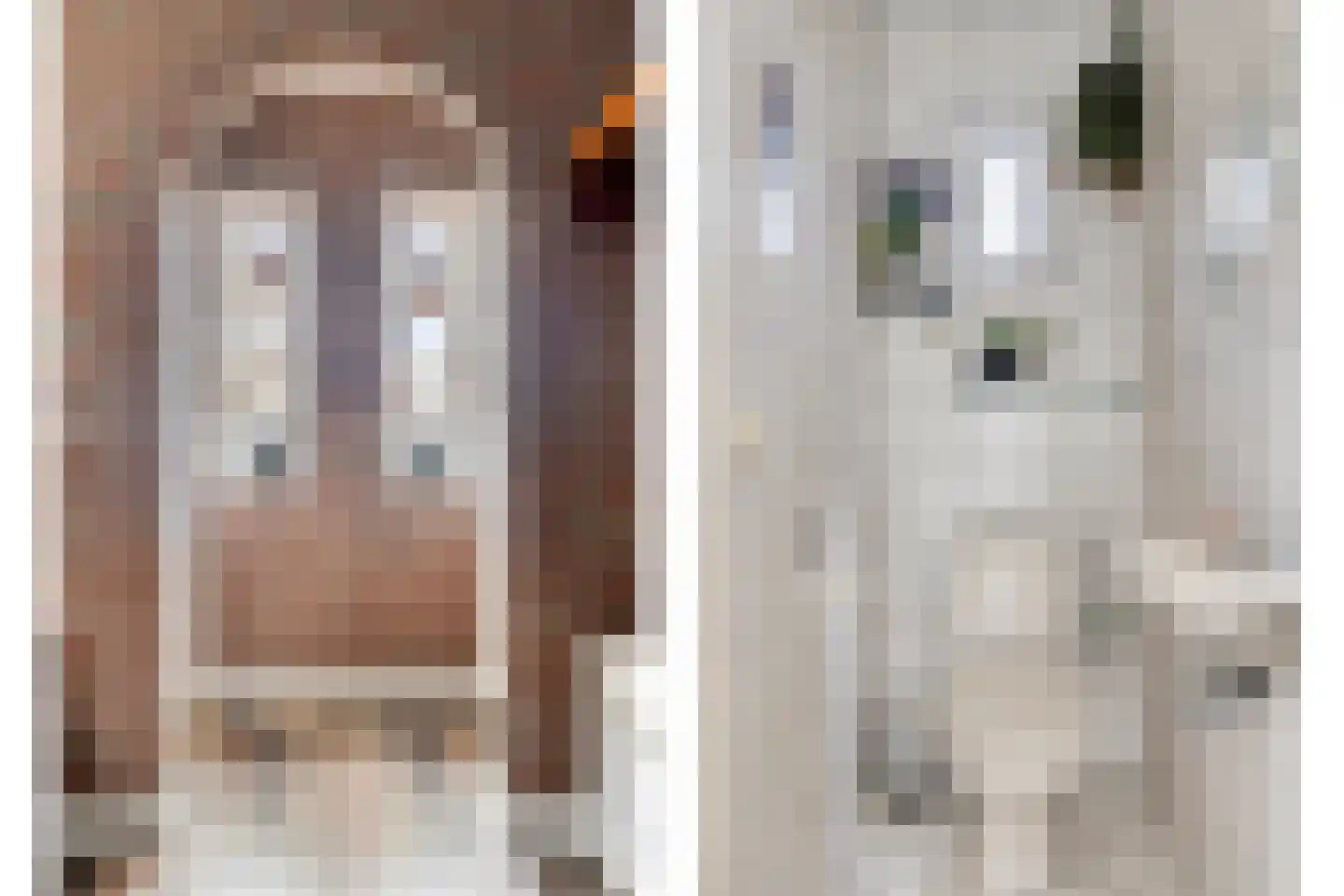 Den Es 5 Ledeacker thumbnail 10