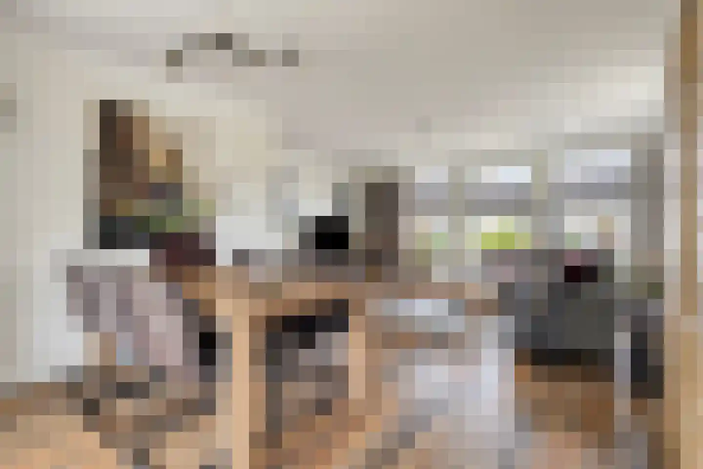Den Es 5 Ledeacker thumbnail 11