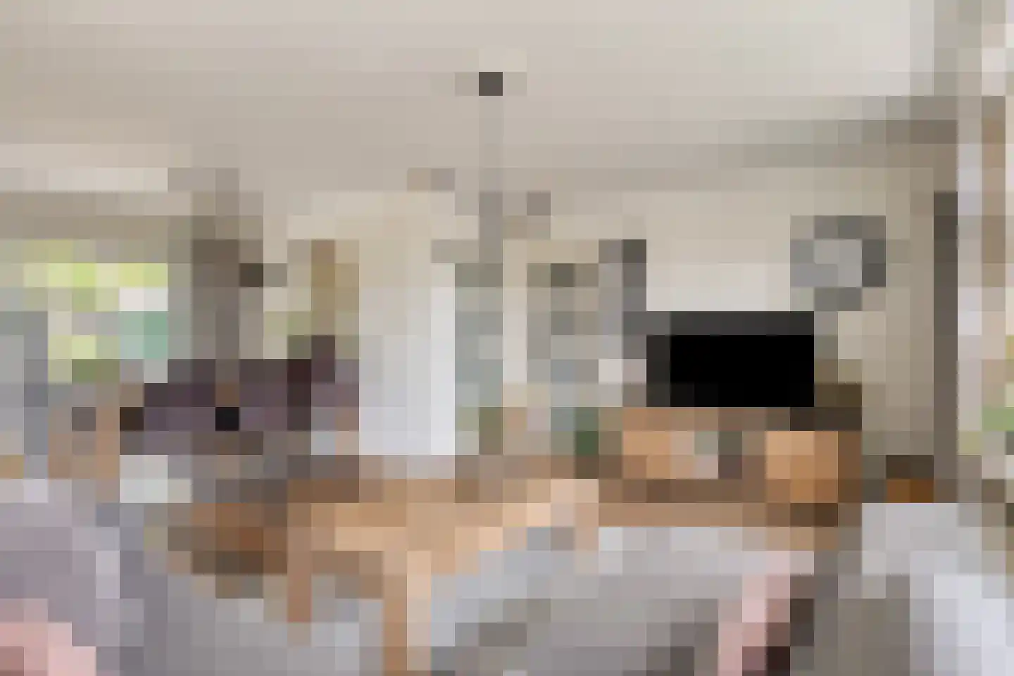 Den Es 5 Ledeacker thumbnail 12