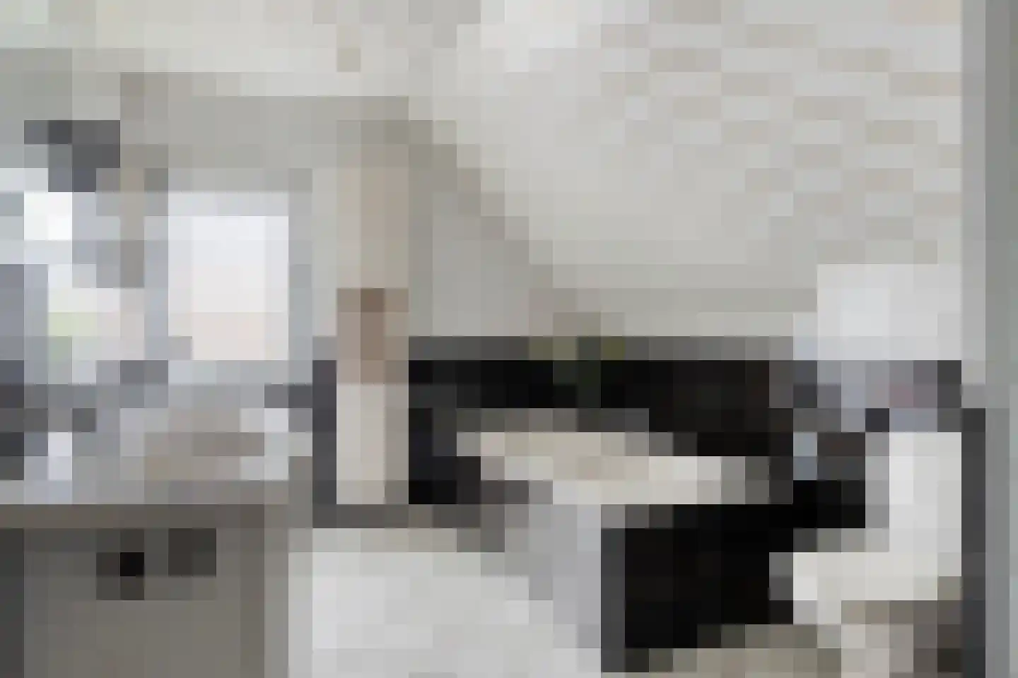 Den Es 5 Ledeacker thumbnail 22