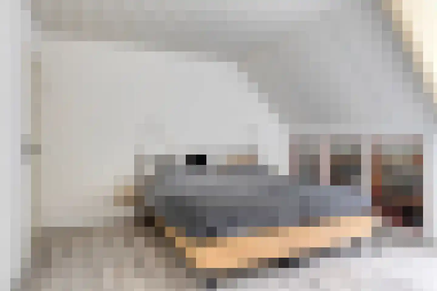 Den Es 5 Ledeacker thumbnail 24