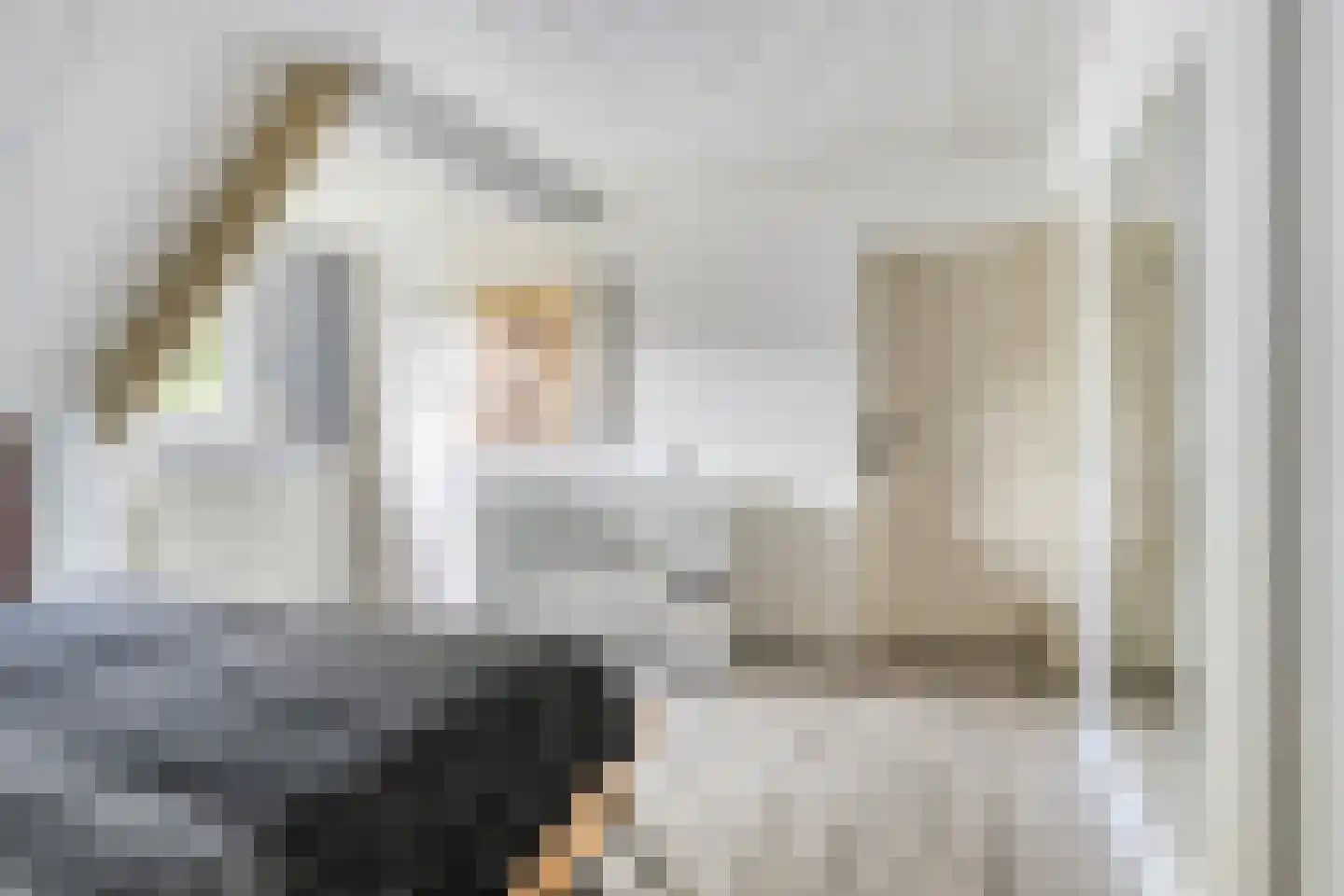 Den Es 5 Ledeacker thumbnail 25
