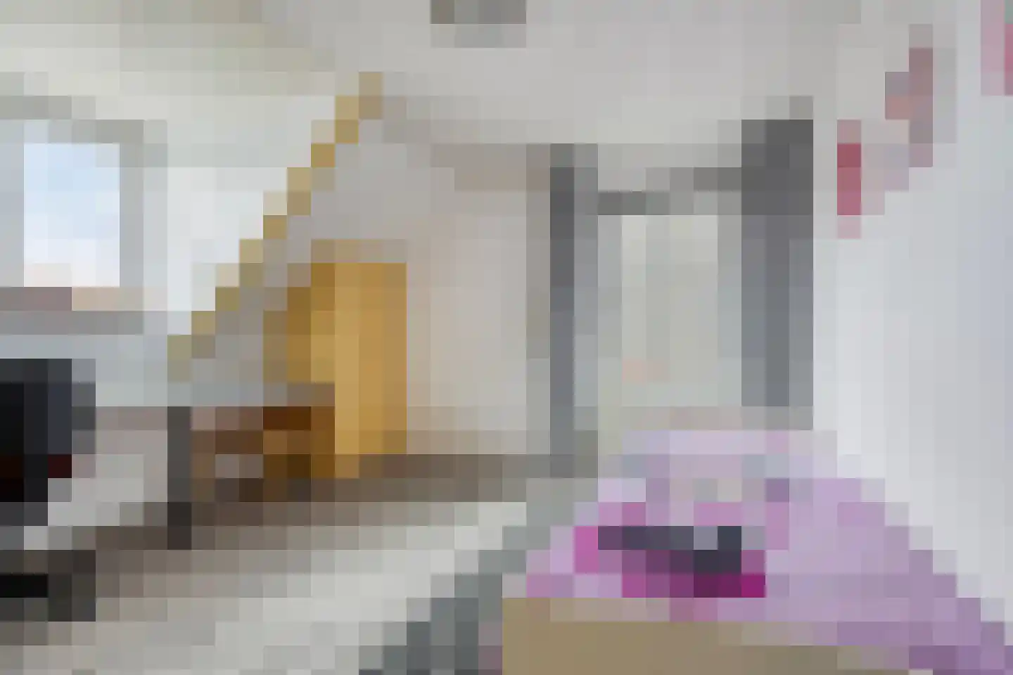 Den Es 5 Ledeacker thumbnail 27