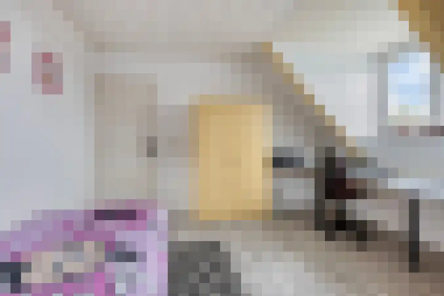 Den Es 5 Ledeacker thumbnail 28