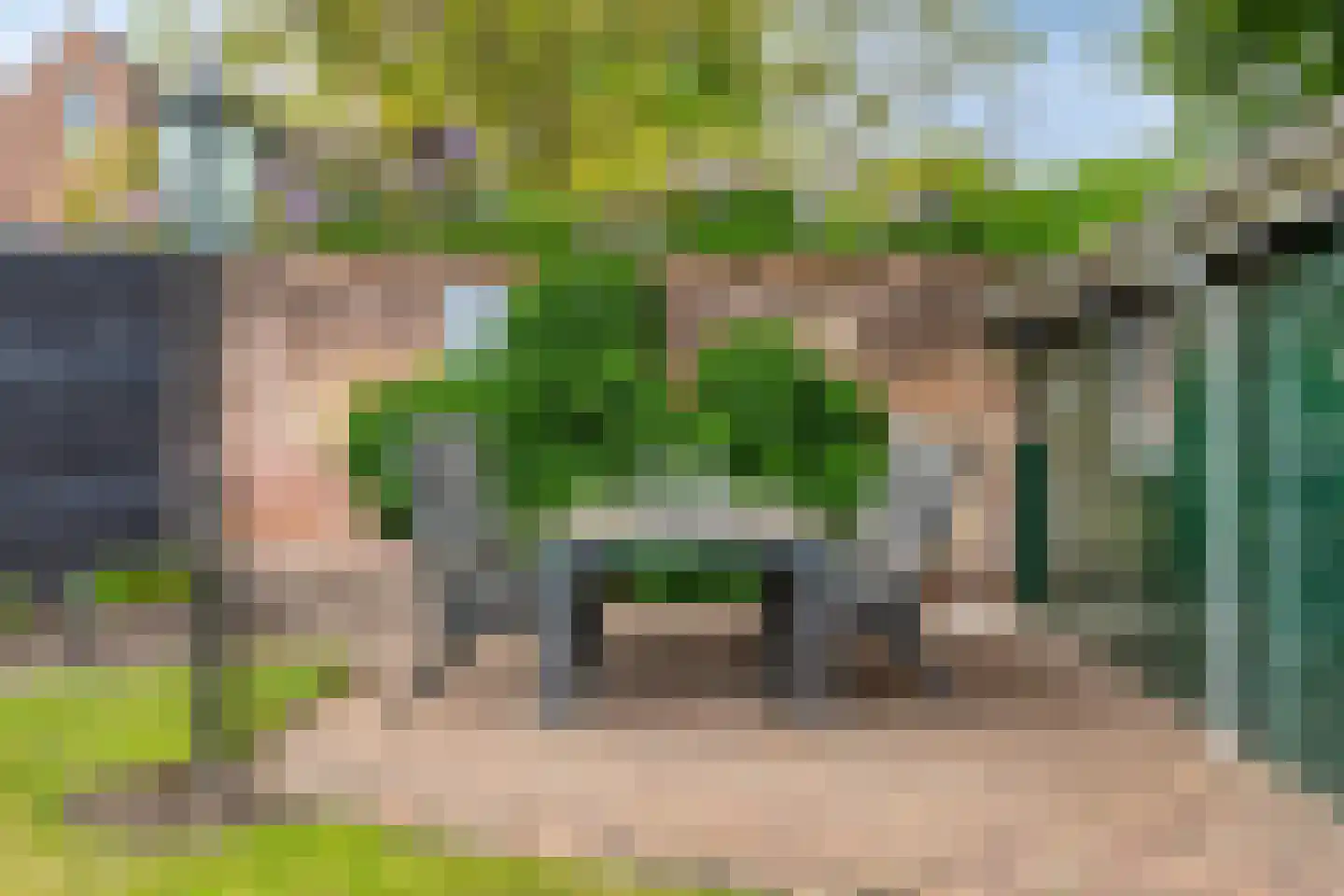Den Es 5 Ledeacker thumbnail 34