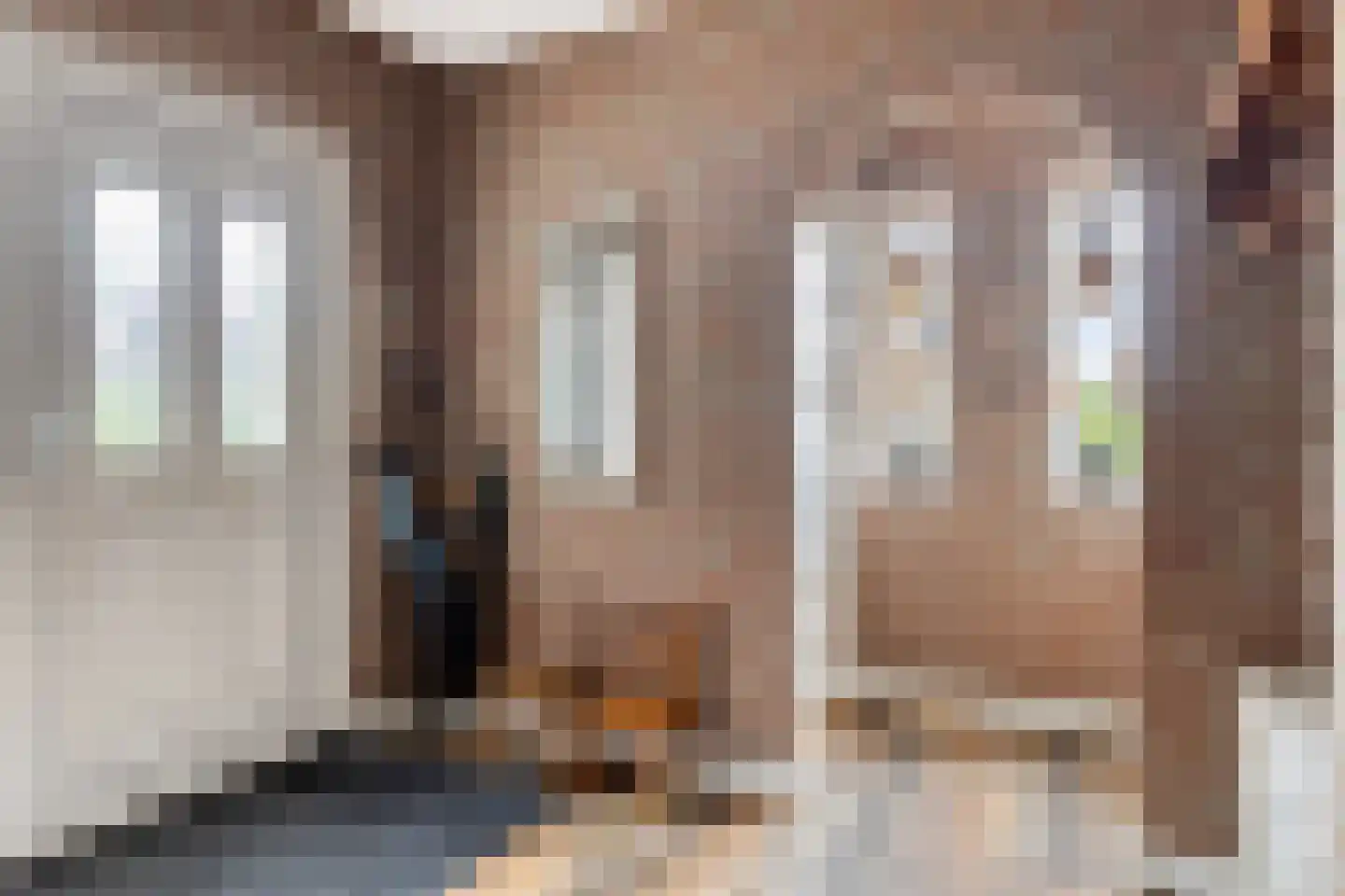 Den Es 5 Ledeacker thumbnail 9