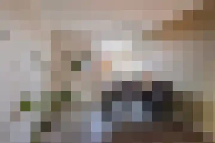 Den Esker 10 Haaksbergen thumbnail 16