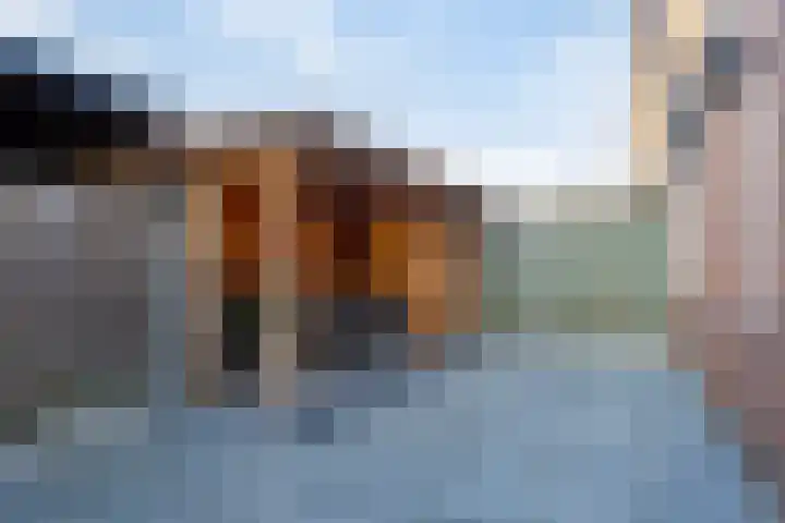 Den Esker 10 Haaksbergen thumbnail 33