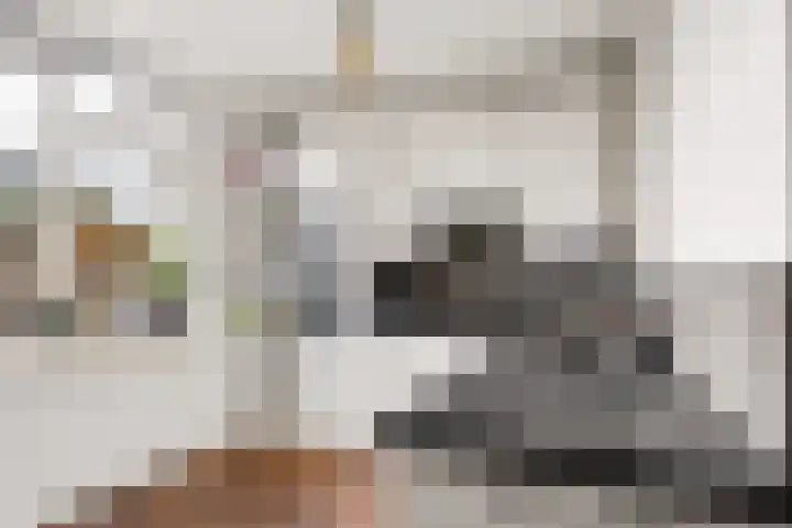 Den Esker 6 Haaksbergen thumbnail 14