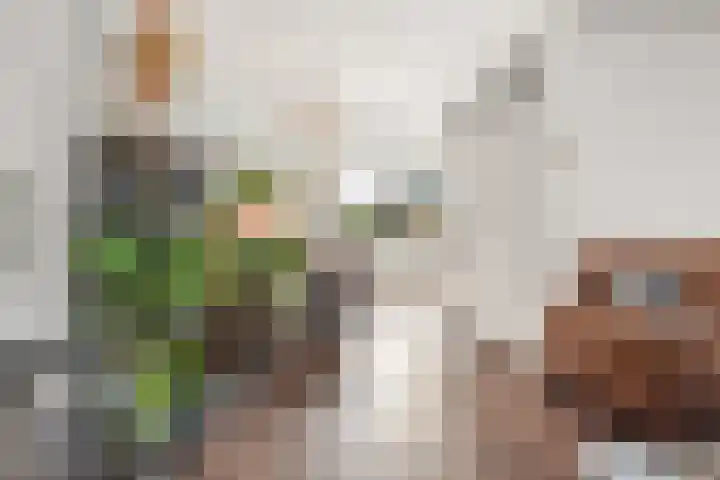 Den Esker 6 Haaksbergen thumbnail 9