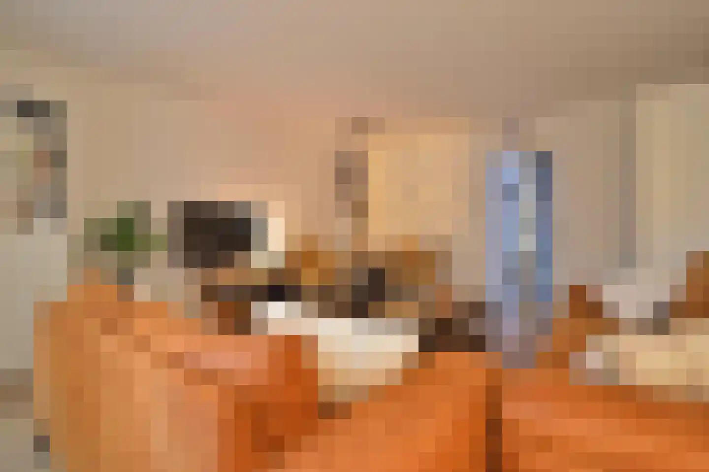 Den Haagstraat 13 Heerlen thumbnail 17