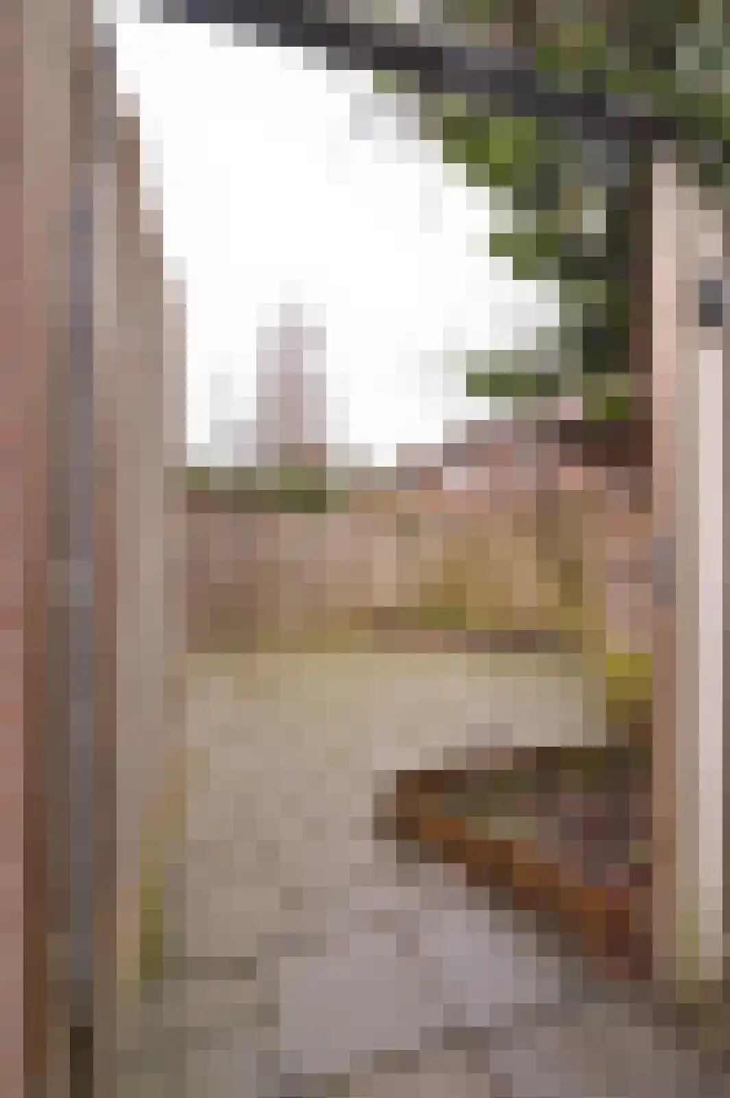 Den Haagstraat 13 Heerlen thumbnail 24