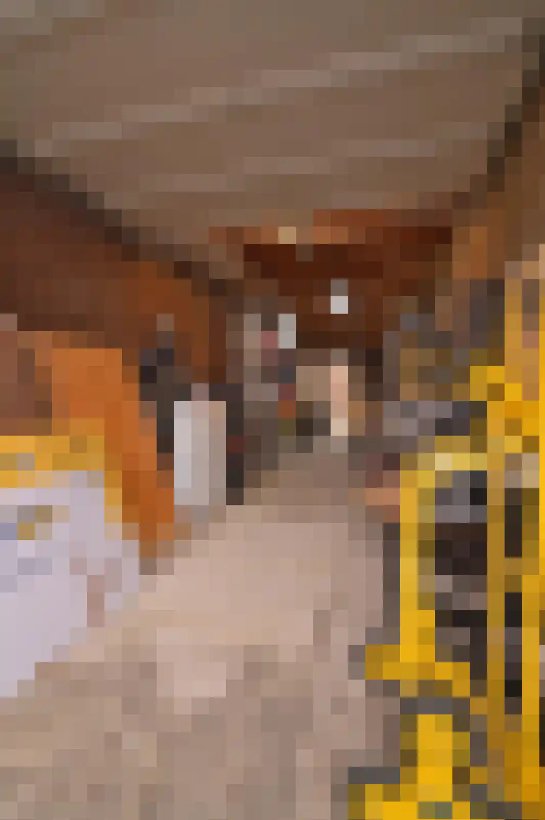 Den Haagstraat 13 Heerlen thumbnail 27
