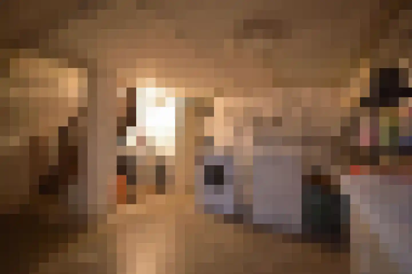 Den Haagstraat 13 Heerlen thumbnail 47