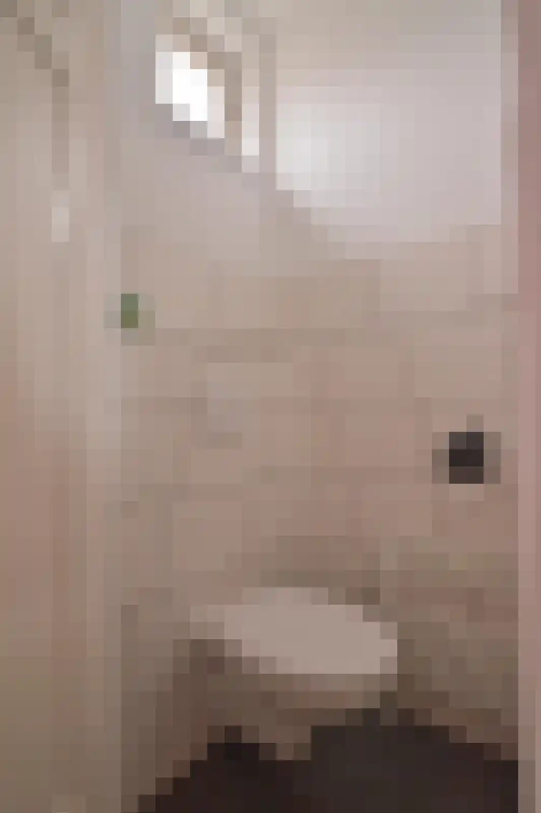 Den Haagstraat 13 Heerlen thumbnail 7