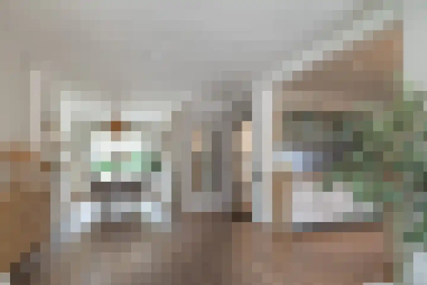 Den Haagstraat 52 Heerlen thumbnail 5