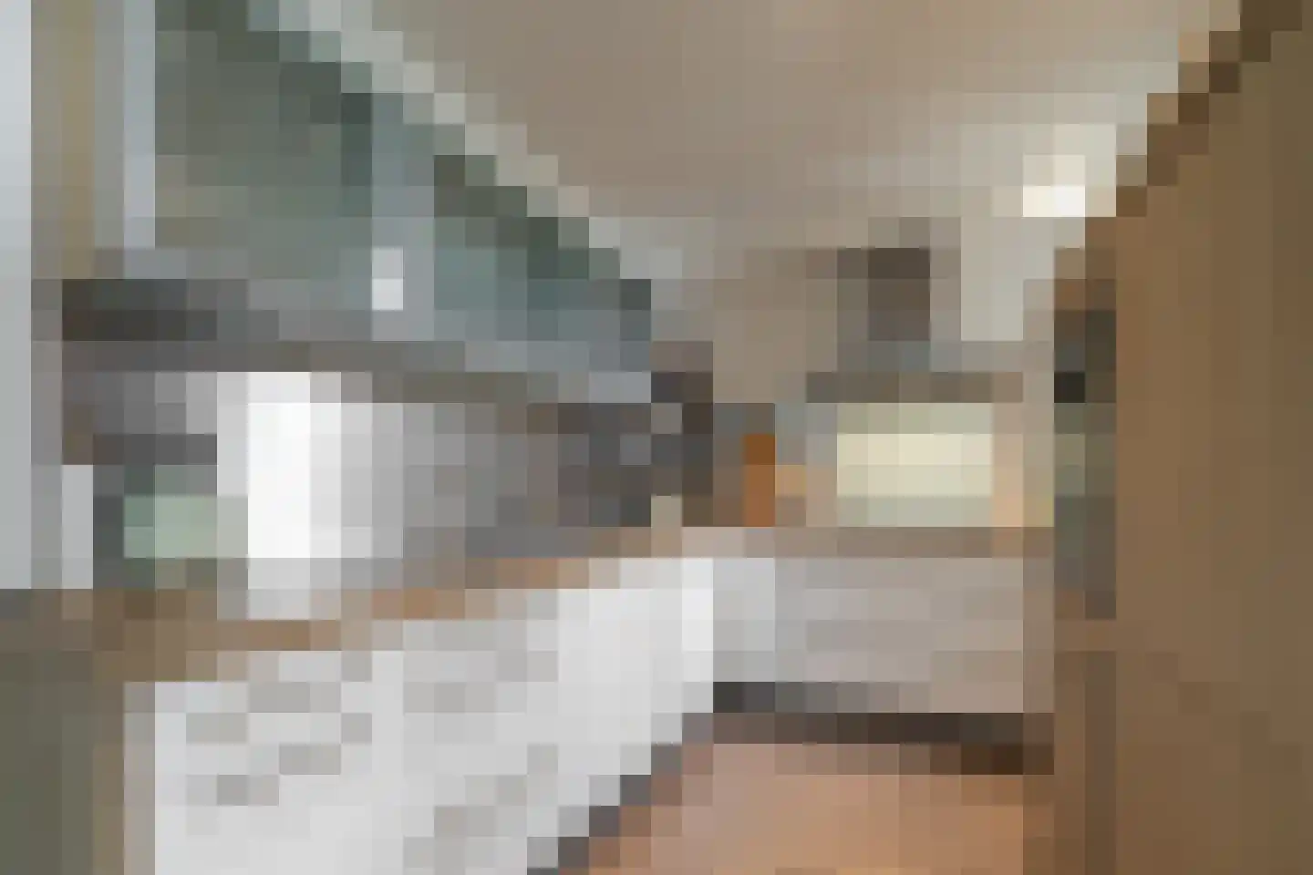 Den Haagstraat 52 Heerlen thumbnail 8