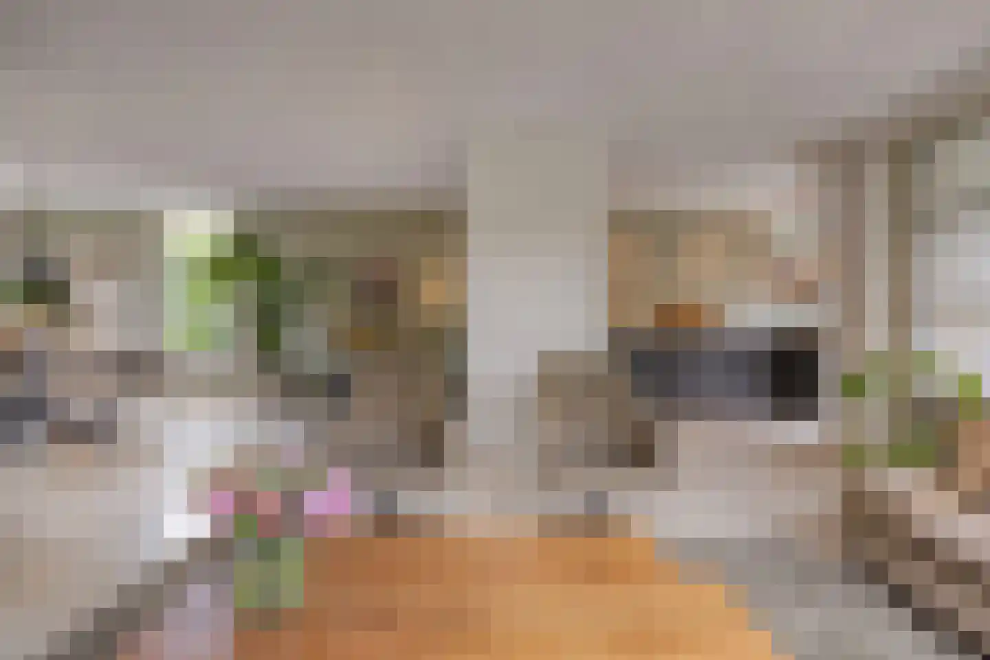 Den Haak 3 Nuenen thumbnail 11