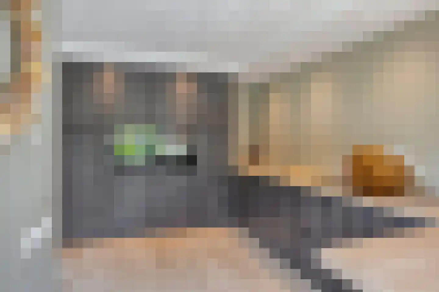 Den Haak 3 Nuenen thumbnail 17