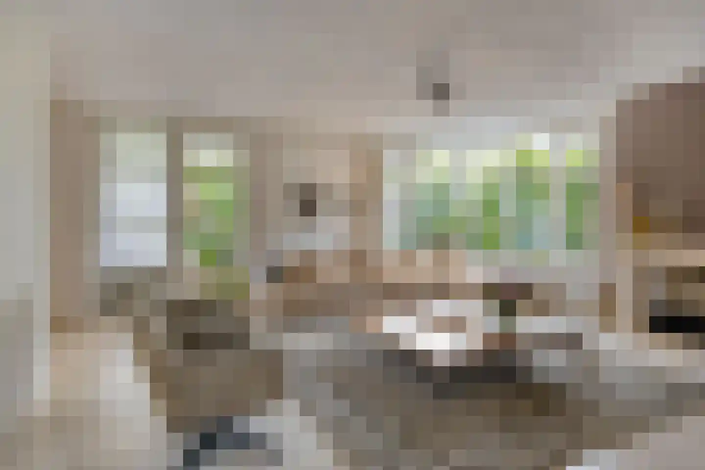 Den Haak 3 Nuenen foto 2
