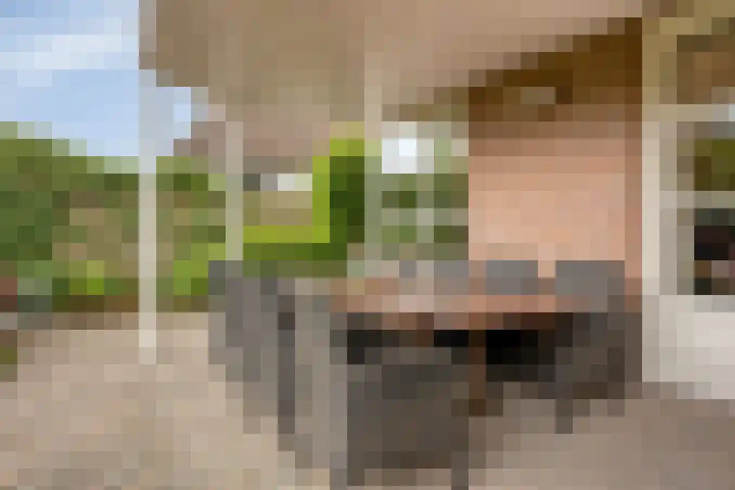 Den Haak 3 Nuenen thumbnail 34