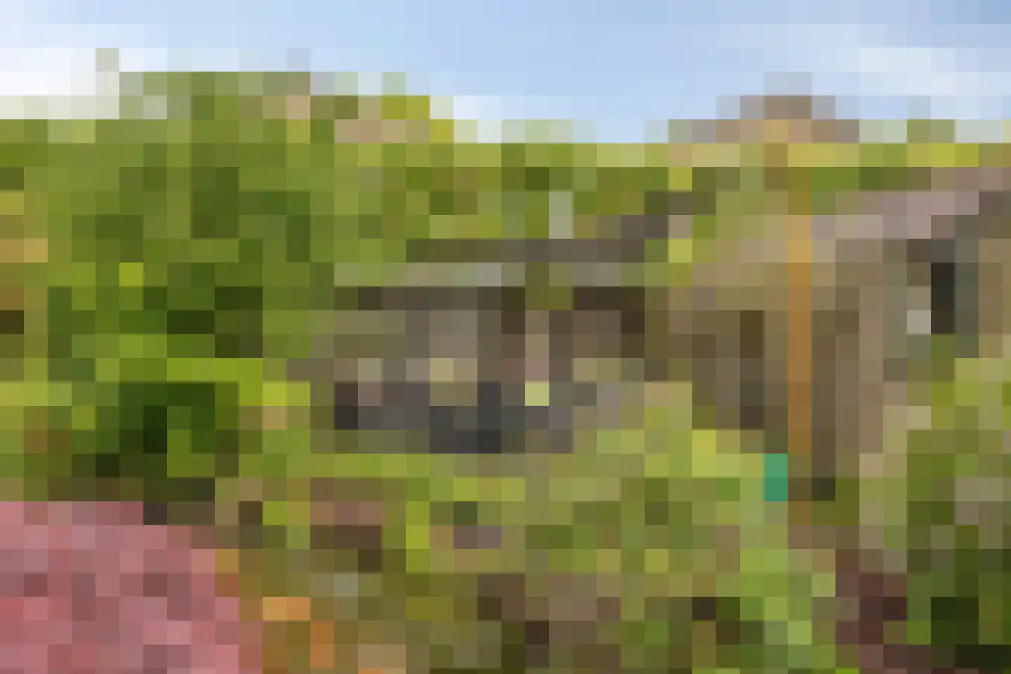 Den Haak 3 Nuenen thumbnail 38