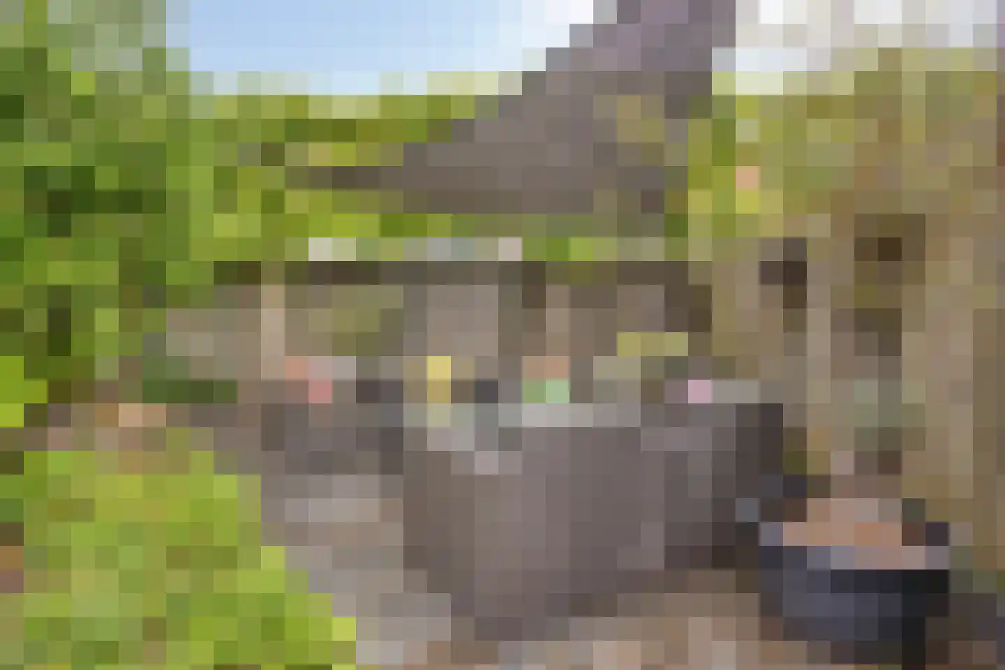 Den Haak 3 Nuenen thumbnail 39
