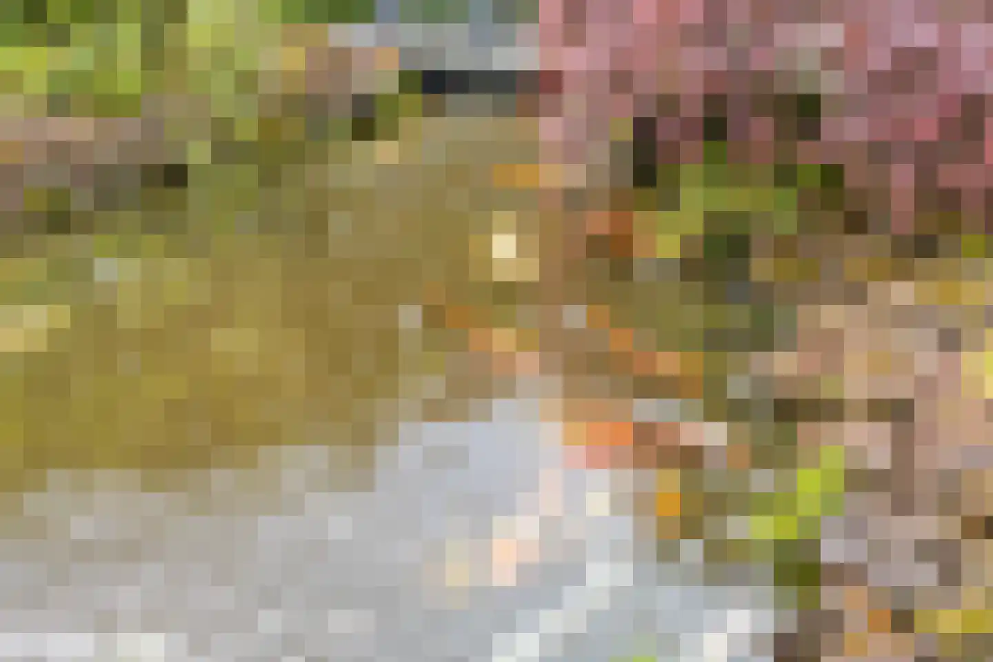 Den Haak 3 Nuenen thumbnail 40