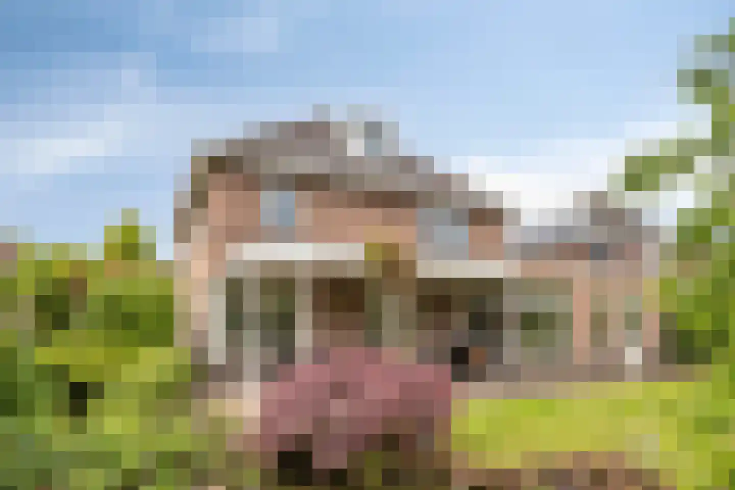Den Haak 3 Nuenen thumbnail 42