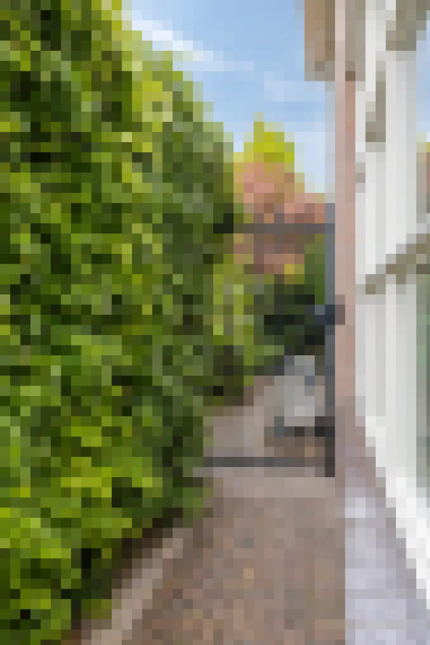 Den Haak 3 Nuenen thumbnail 43