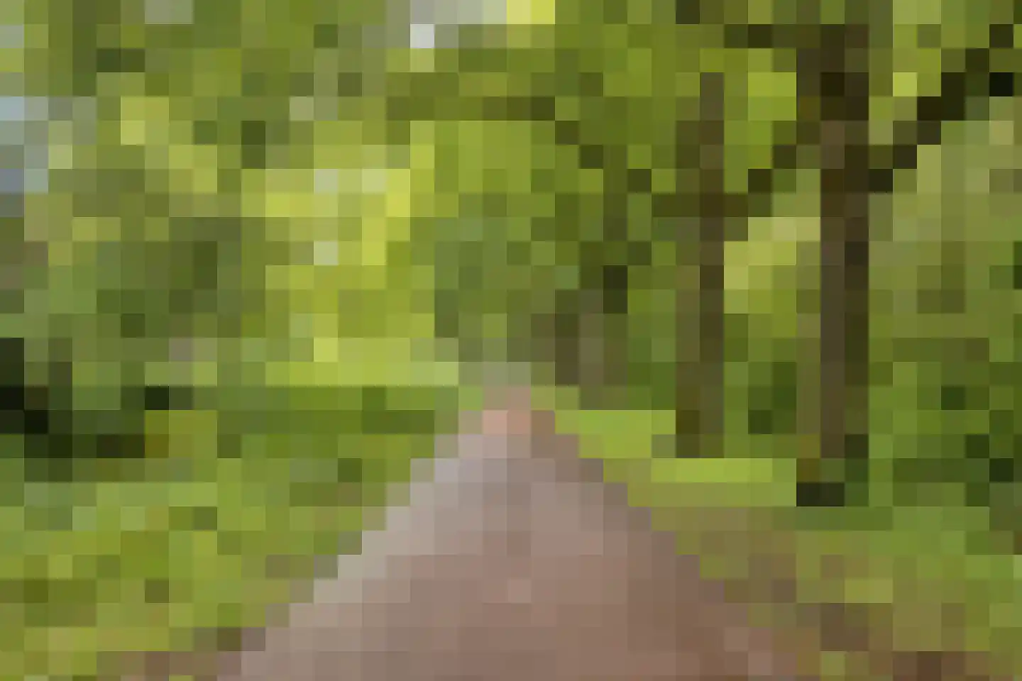 Den Haak 3 Nuenen thumbnail 46